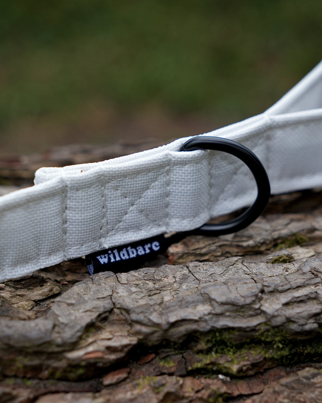 White Canvas Lead