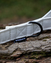 White Canvas Lead