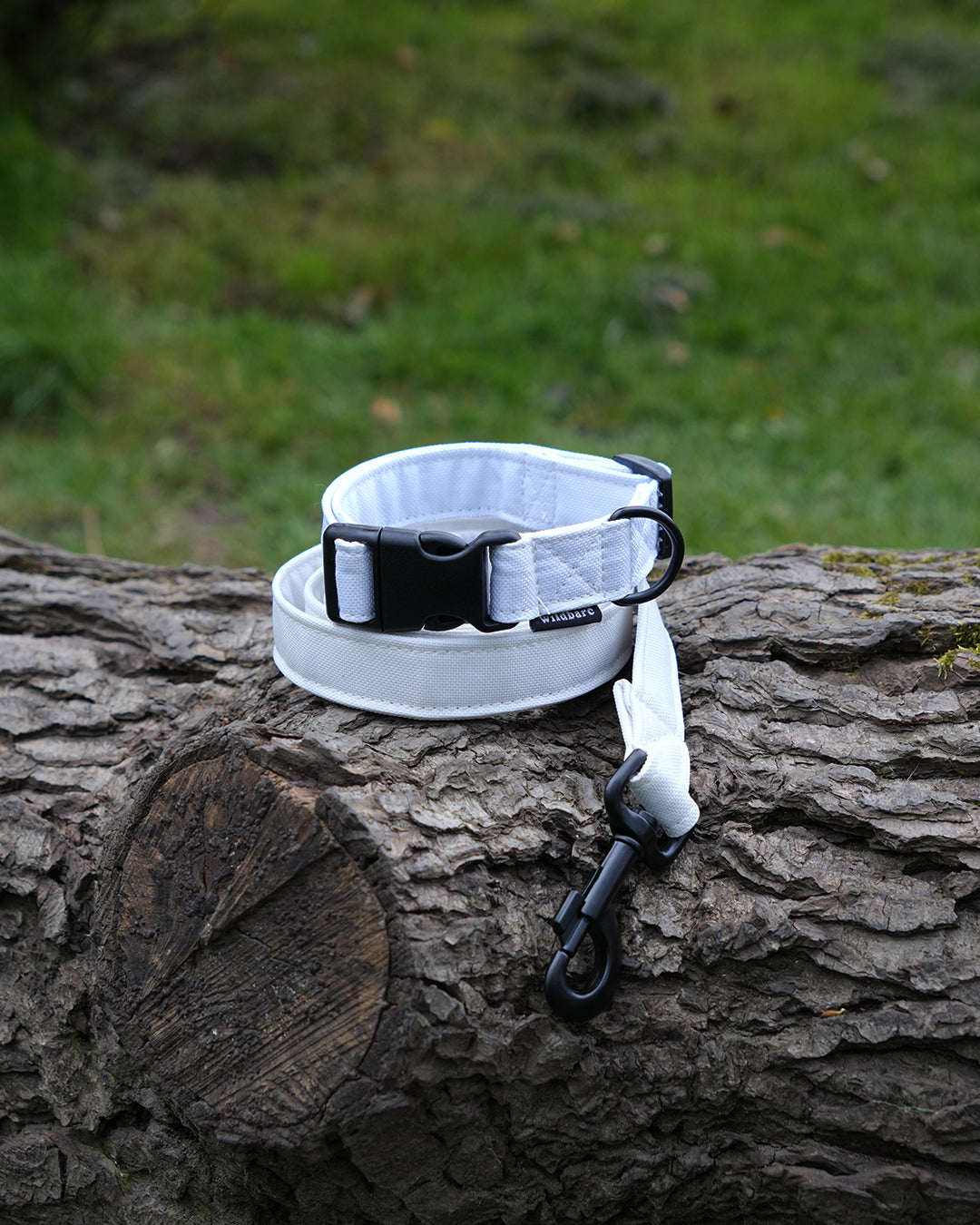 White Canvas Dog Collar