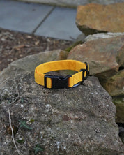 Yellow Waterproof Dog Collar