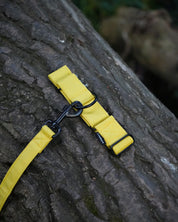 Yellow Martingale Dog Collar