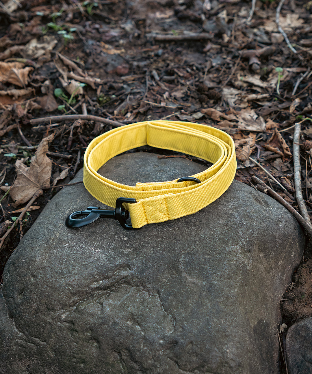 yellow-lead-product.jpg