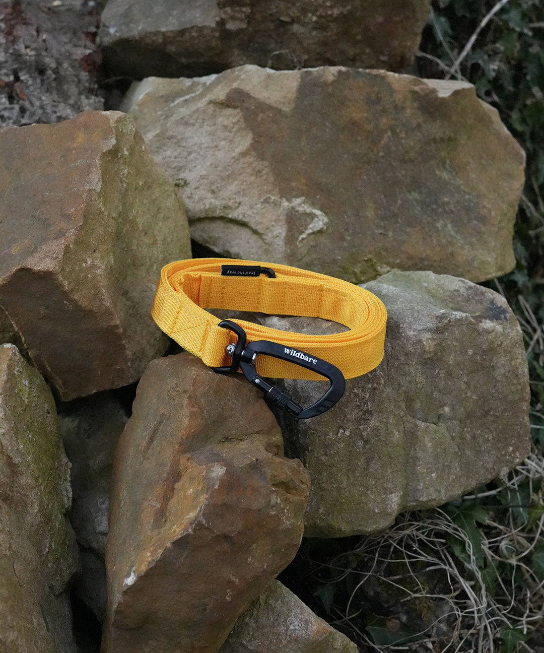 yellow-one.jpg