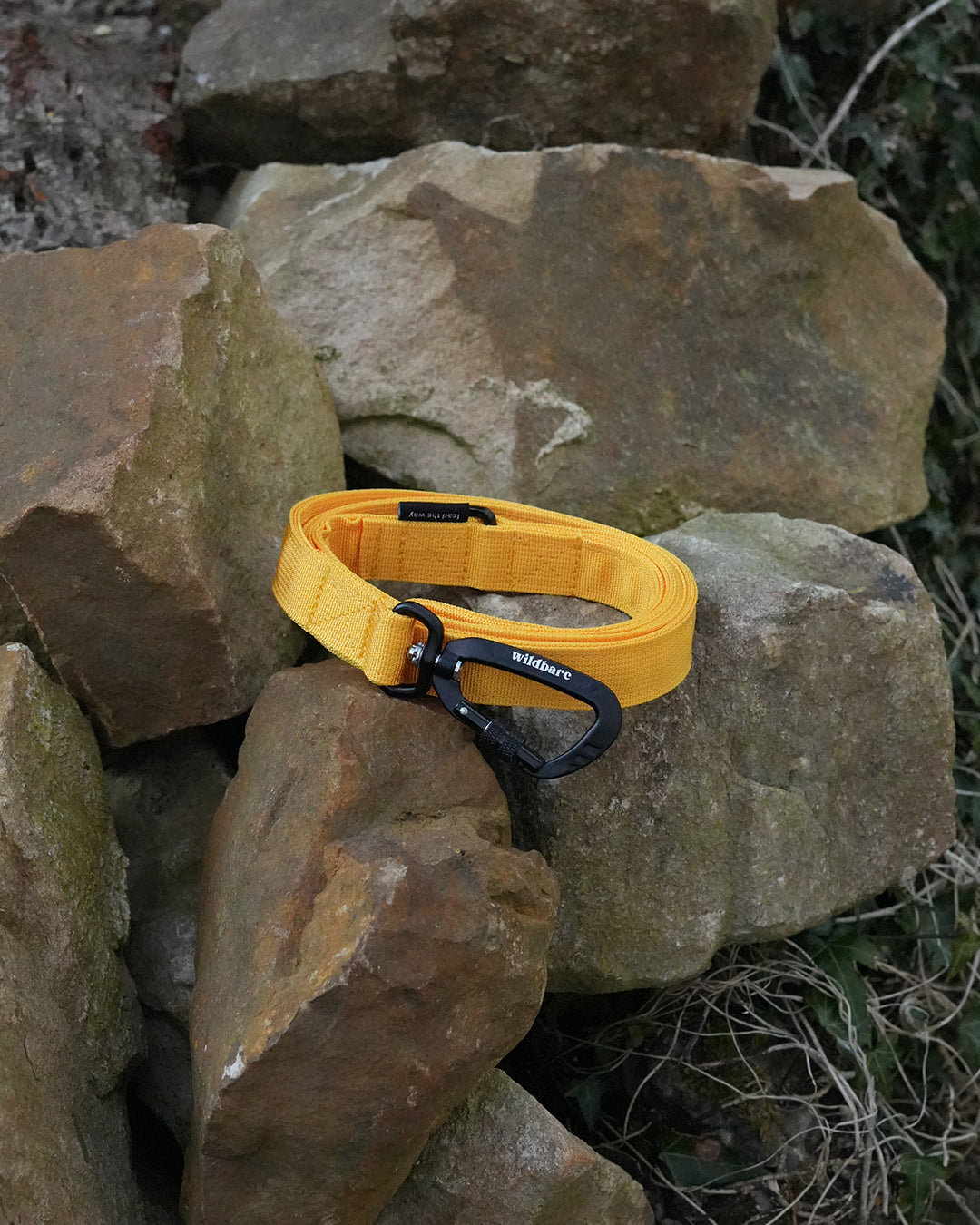 Yellow Waterproof Dog Lead