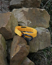 Yellow Waterproof Dog Lead