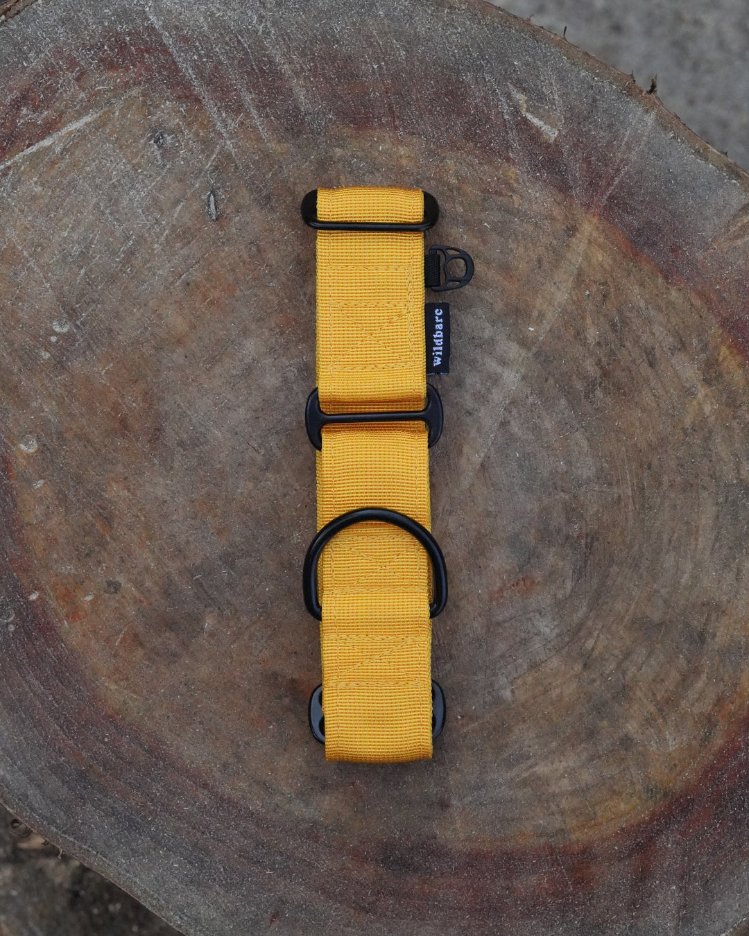 Yellow Waterproof Martingale Dog Collar