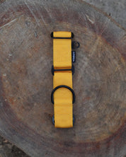 Yellow Waterproof Martingale Dog Collar