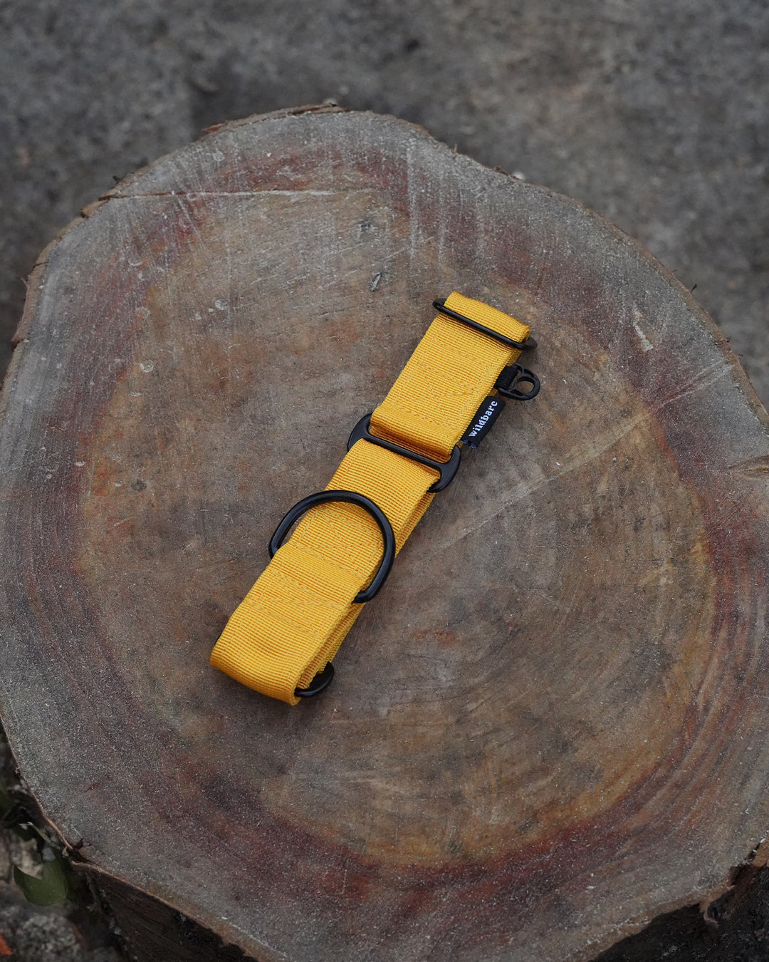 Yellow Waterproof Martingale Dog Collar