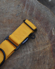 Yellow Waterproof Martingale Dog Collar