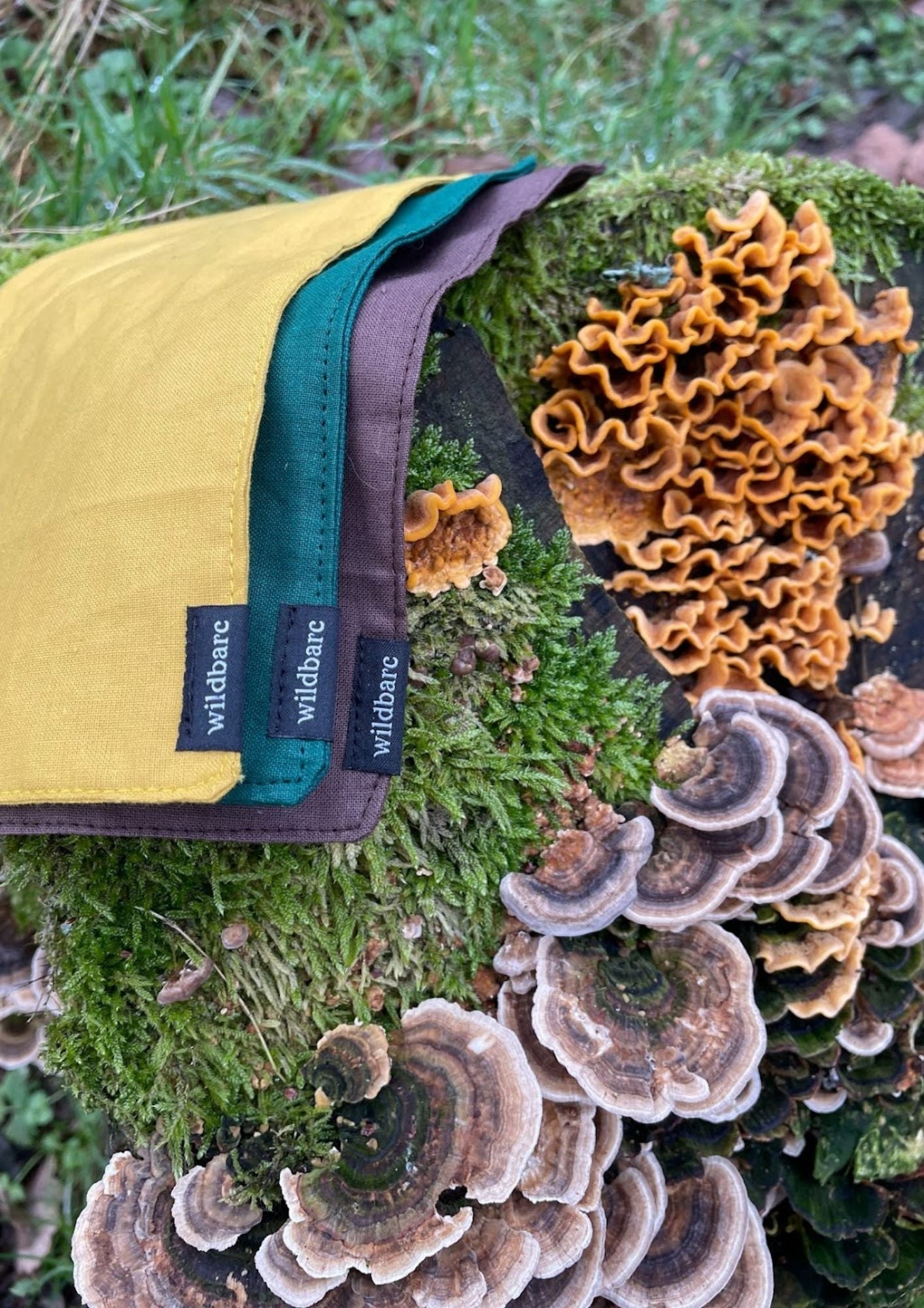 Scout Brown Bandana