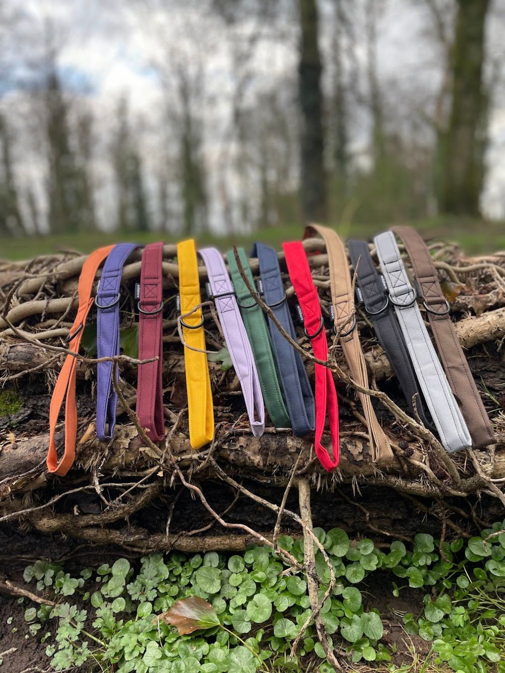 Purple Canvas Lead