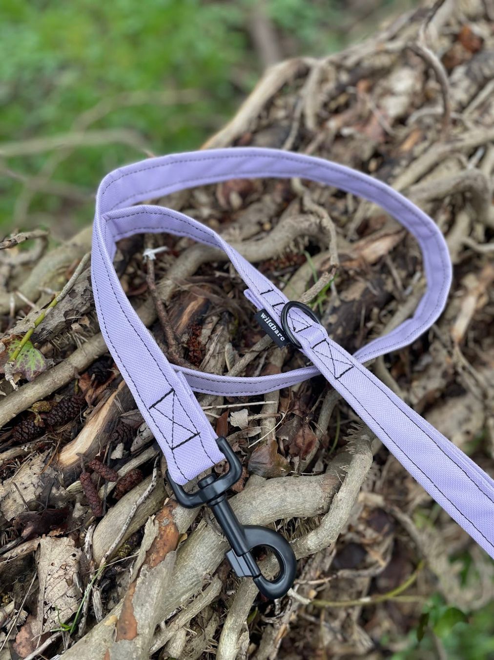 Lilac Canvas Lead