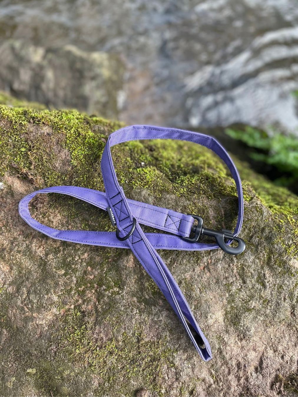 Purple Canvas Lead