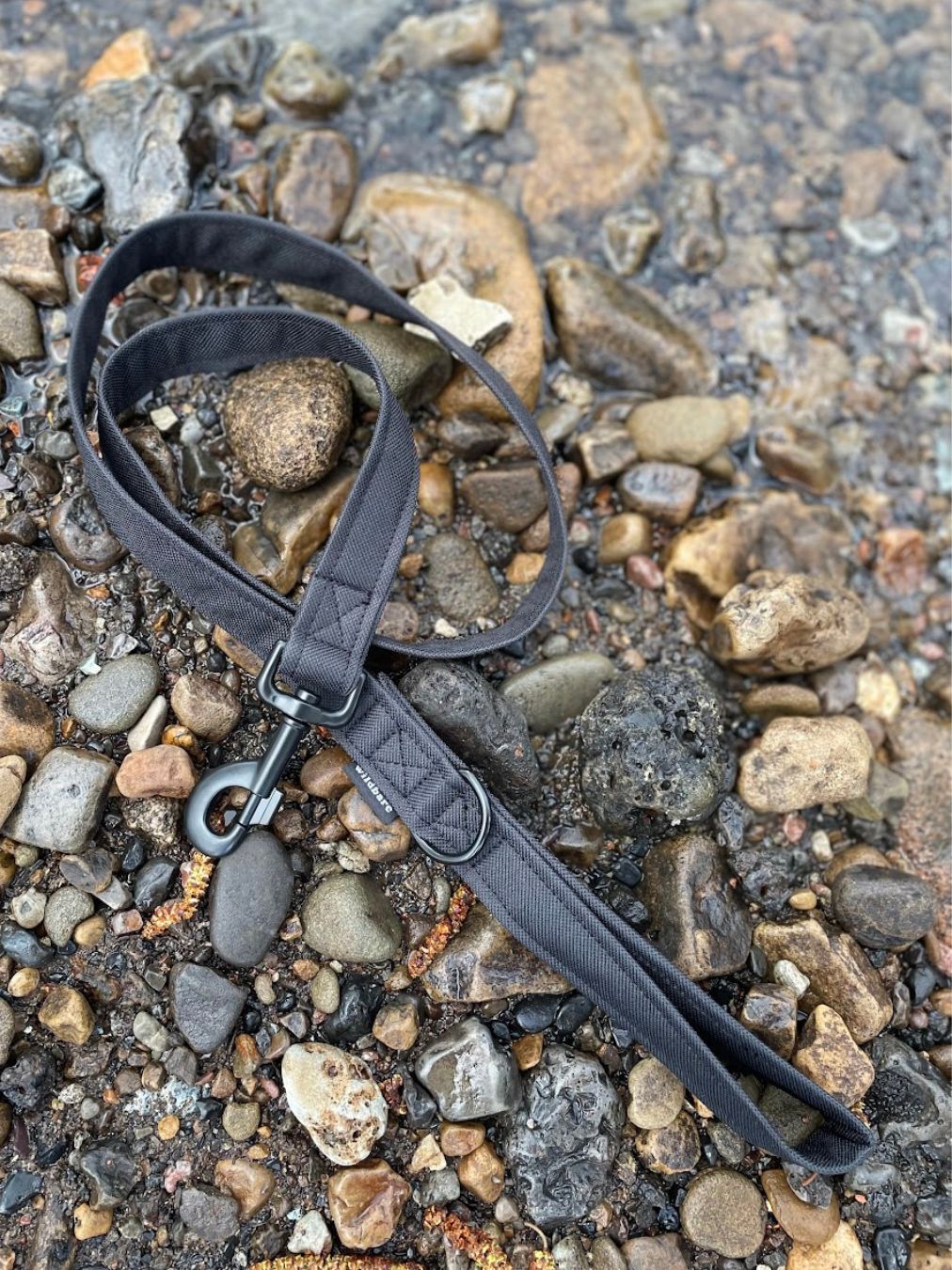 Black Canvas Lead