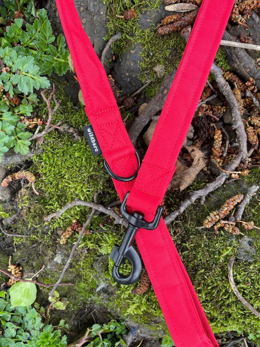 Red Canvas Lead