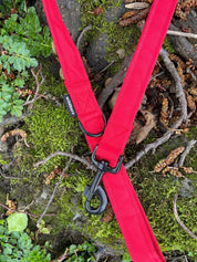 Red Canvas Lead