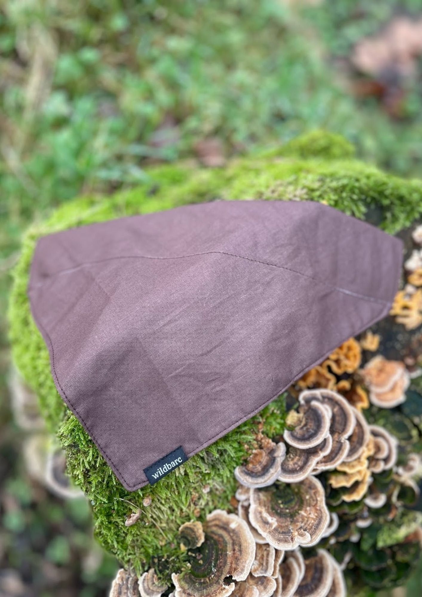 Scout Brown Bandana